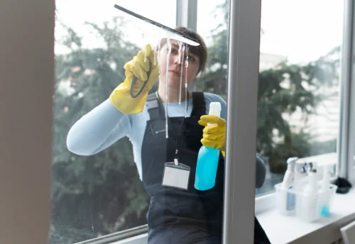 Nettoyage de vitres intérieures et extérieures à Bongheat